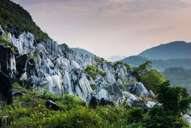 您好，南川！我是你的新朋友——贺州，我们的故事从这一刻开始啦
