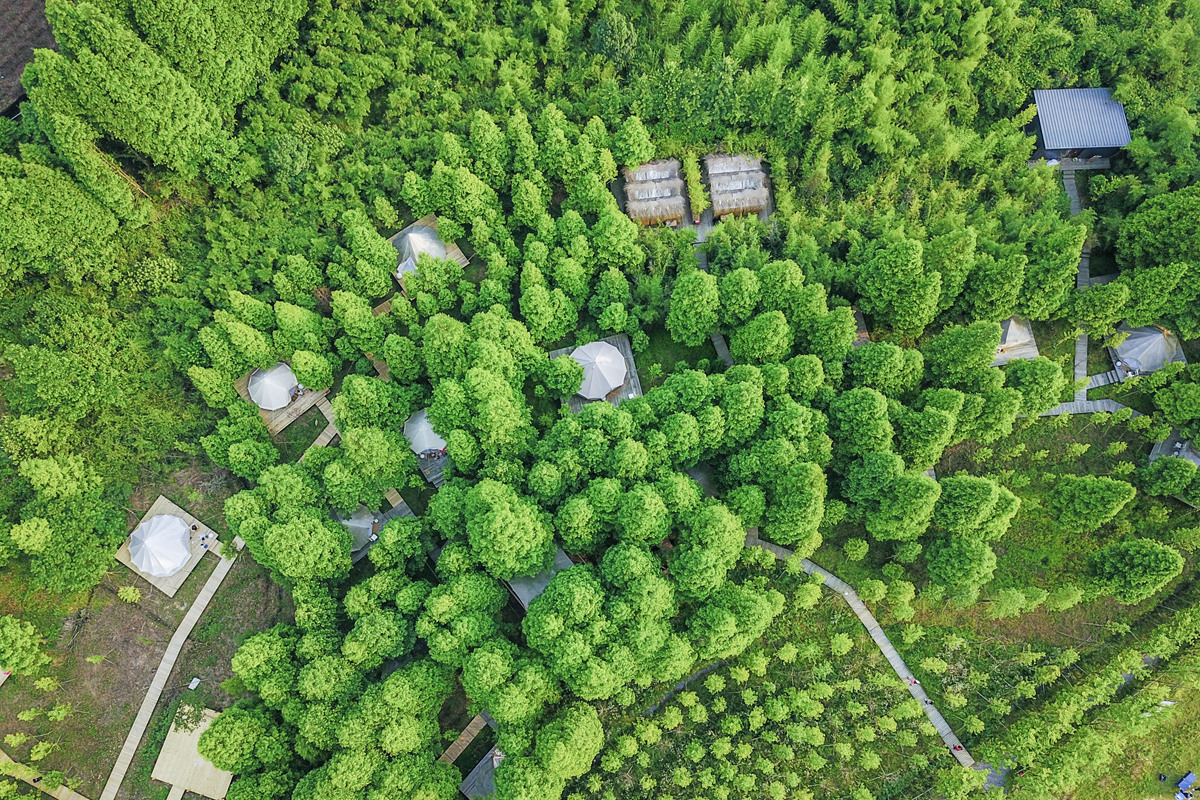 义远农场亲子探险露营：帐篷、萤火虫、足球冰淇淋、竹水枪、采摘