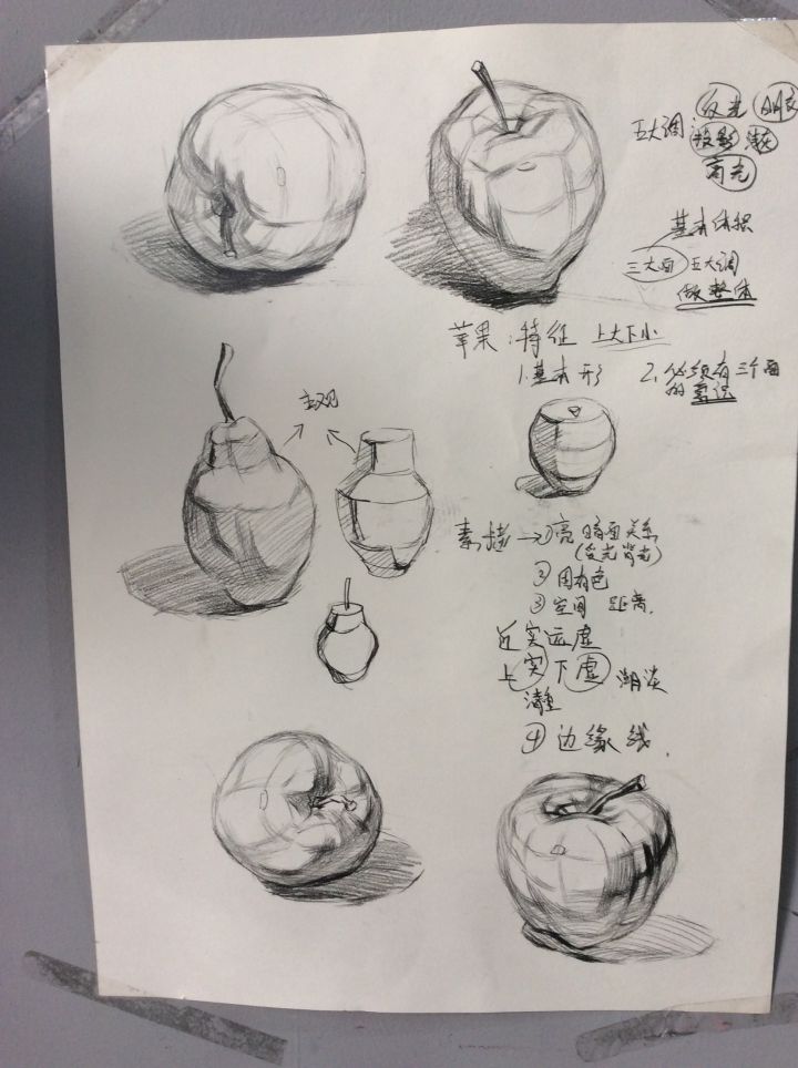 油画素描教程入门基础,素描油画初学者入门教程