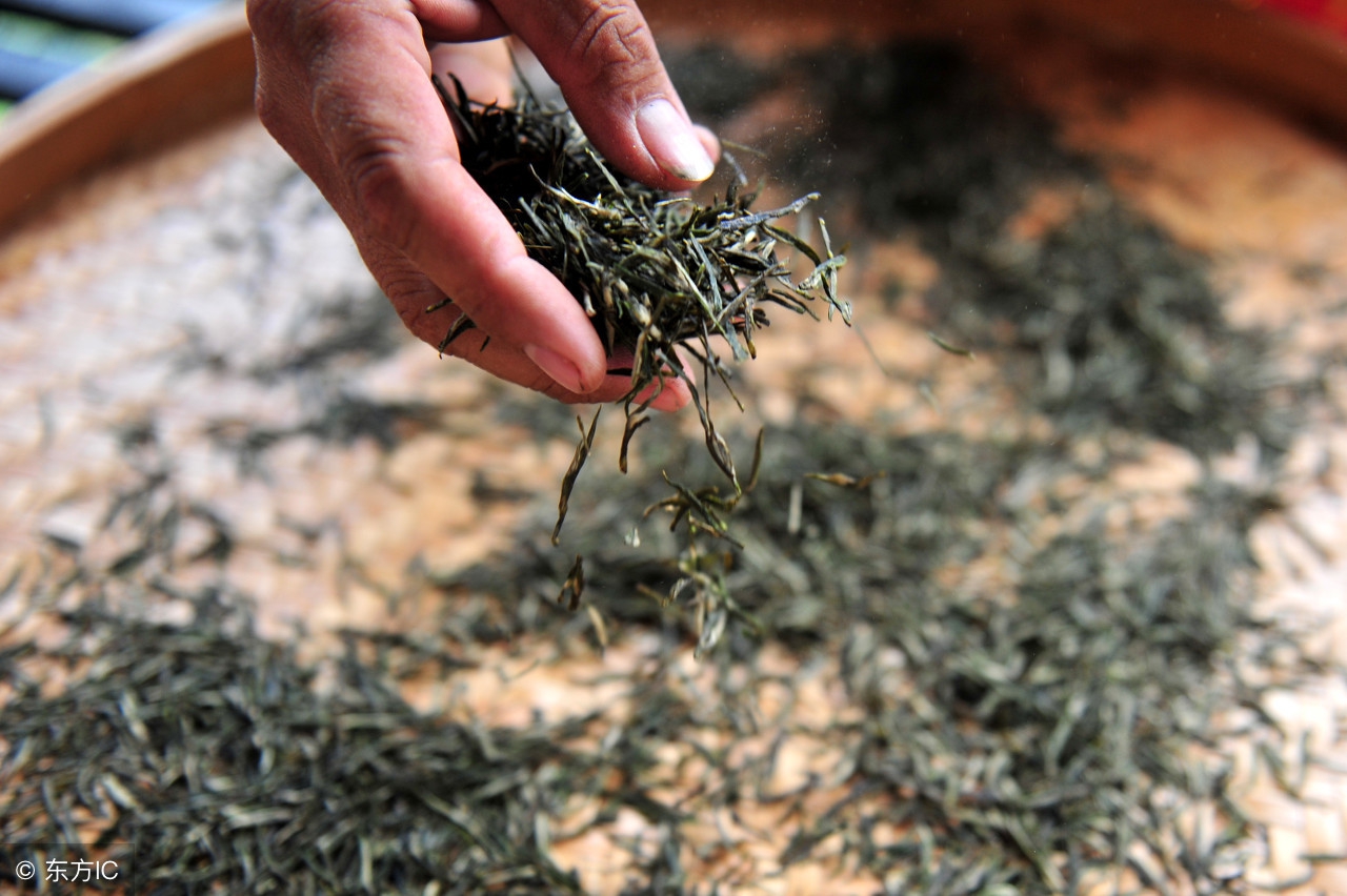 日本茶道体验,体验一天茶道是什么感觉