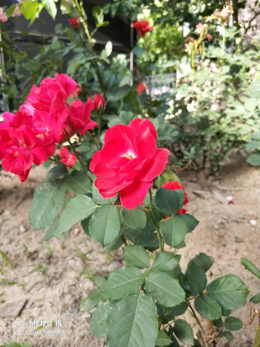 魅族15评测图片,魅族15深度评测视频