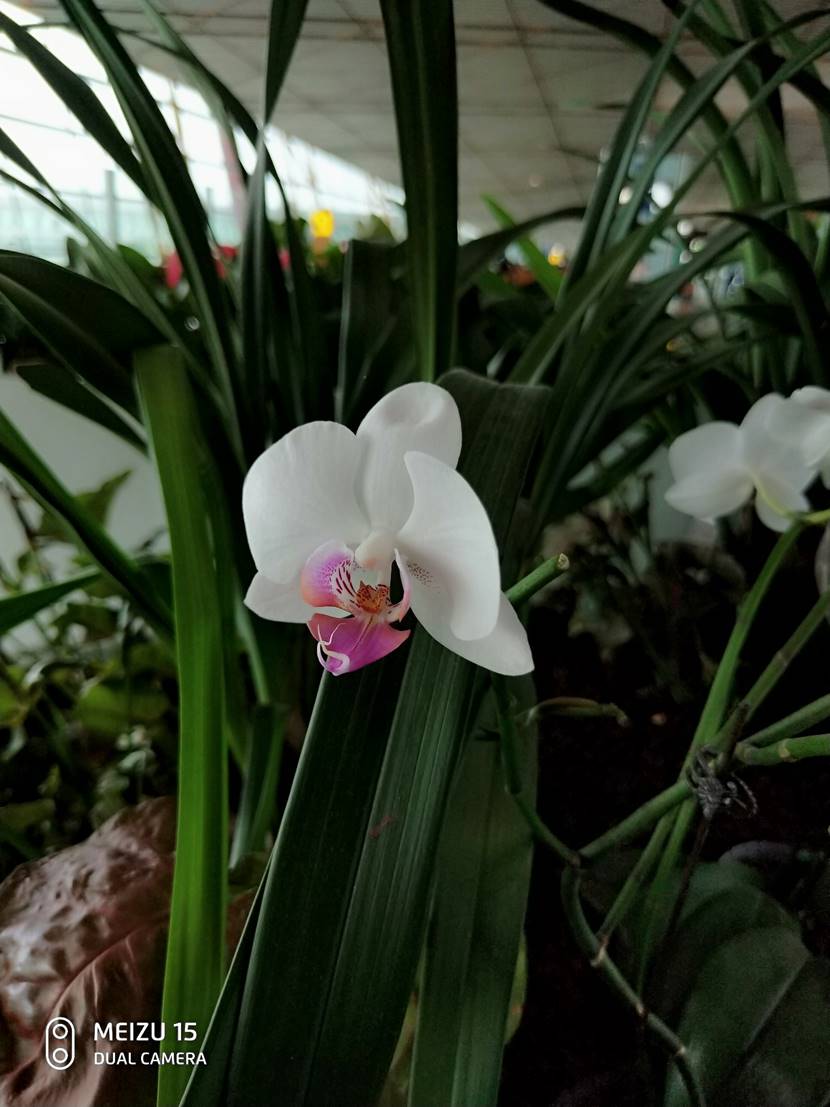 魅族15发布回顾完整,现在的魅族15还值得入手吗