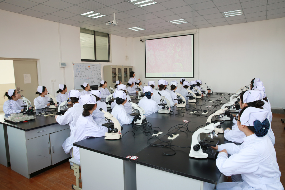 武汉科技大学城市学院会搬走吗,武汉科技大学城市学院介绍