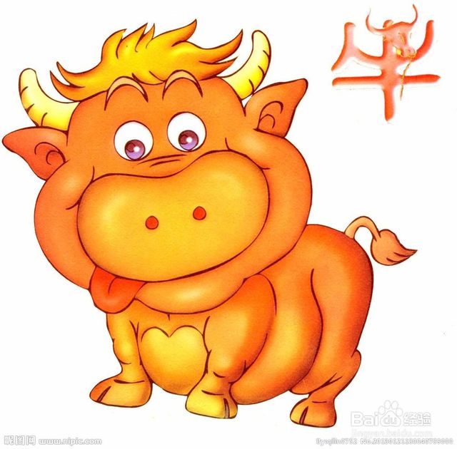 十二生肖注意事项,佩戴十二生肖注意哪些禁忌