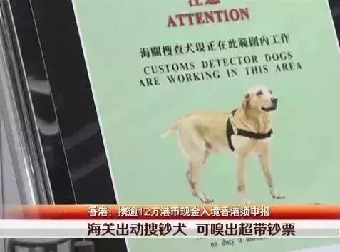 去香港忘记做这件事！最高罚款50万