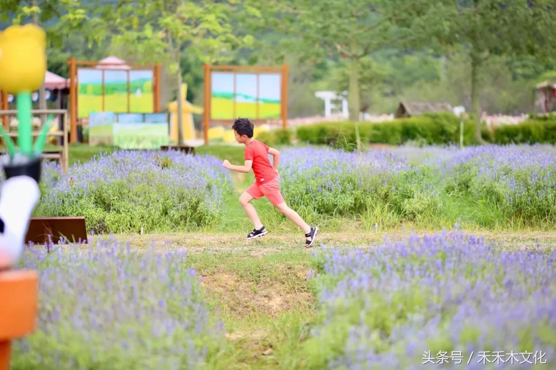 黄可乐发现一个秘密花海基地,让所有的小朋友都带爸爸妈妈来