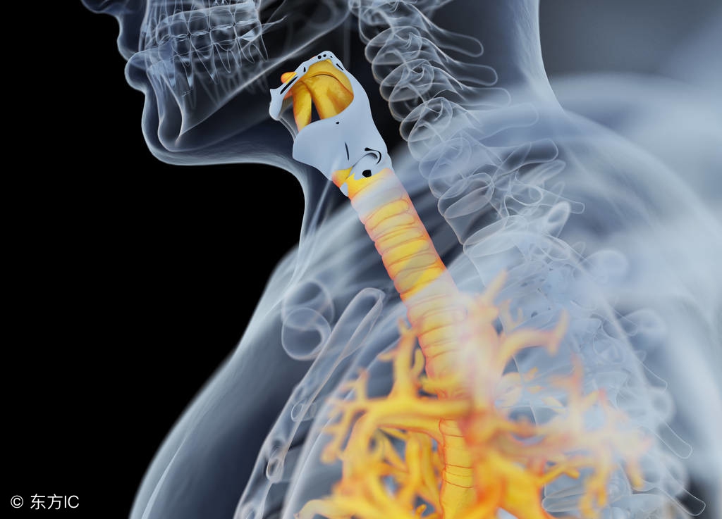 支气管炎食疗方法大全,支气管炎食疗最好方法