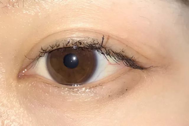 8款热门睫毛膏专业测评，Angelababy最爱的睫毛膏居然垫底了！