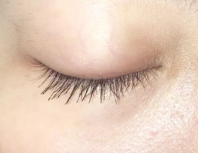 8款热门睫毛膏专业测评，Angelababy最爱的睫毛膏居然垫底了！