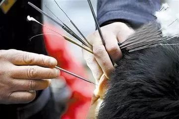 今日科普是什么意思,今日科普