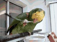 儿童掏耳屎为啥要3天后才掏,掏耳屎应该掏哪处才能掏干净