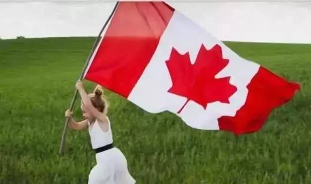 你还在操心孩子的奶粉钱，加拿大“牛奶金”却已开始大涨！