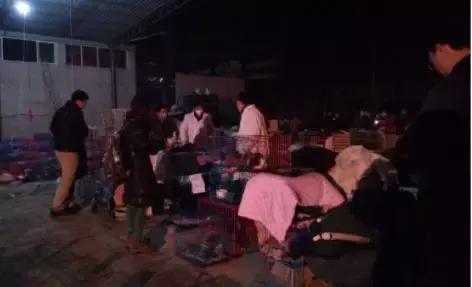 我不能怂歌曲,我不能怂攻略