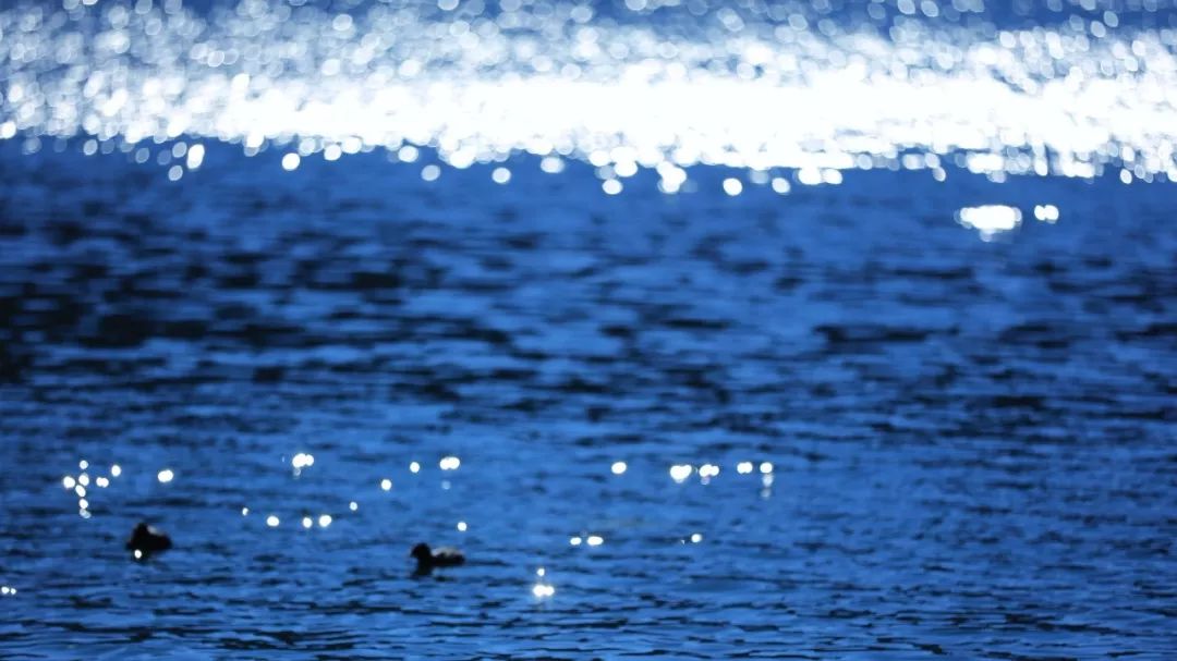 拍水技巧,正确拍水的方法教程