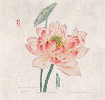 你想健康长寿吗？请来金凤墨玉泡浴！