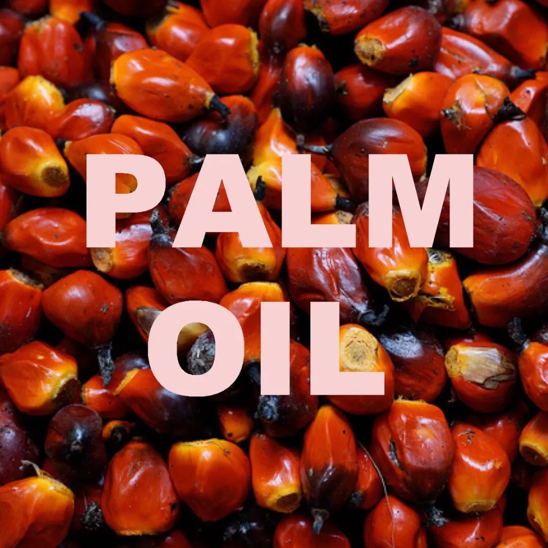 「大米阿姨」Pick椰子油？我觉得不行