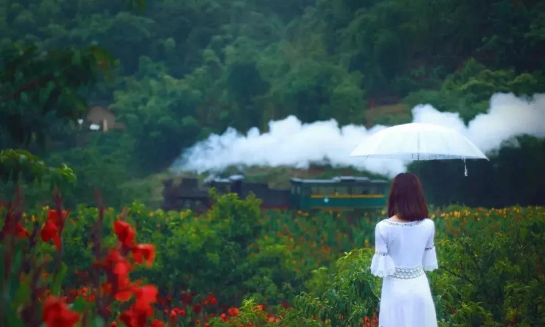 藏不住了重庆这个小城太美了,藏不住了四川话