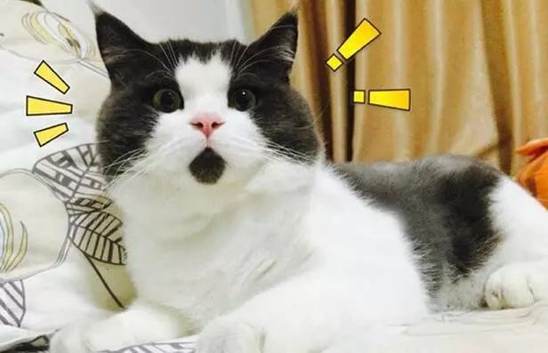 邯郸人快删！“山寨微信”出现，可转发语音，已有人被骗！