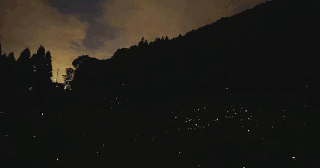 莫干山萤火虫基地住宿,莫干山云起萤光水森林萤火虫基地