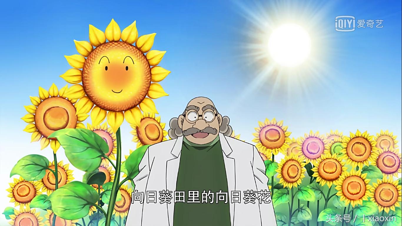 猜谜游戏大全有答案,2024年猜谜游戏谜题