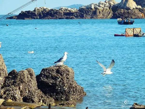 不用签证就能去的海岛,不需要签证的海岛游