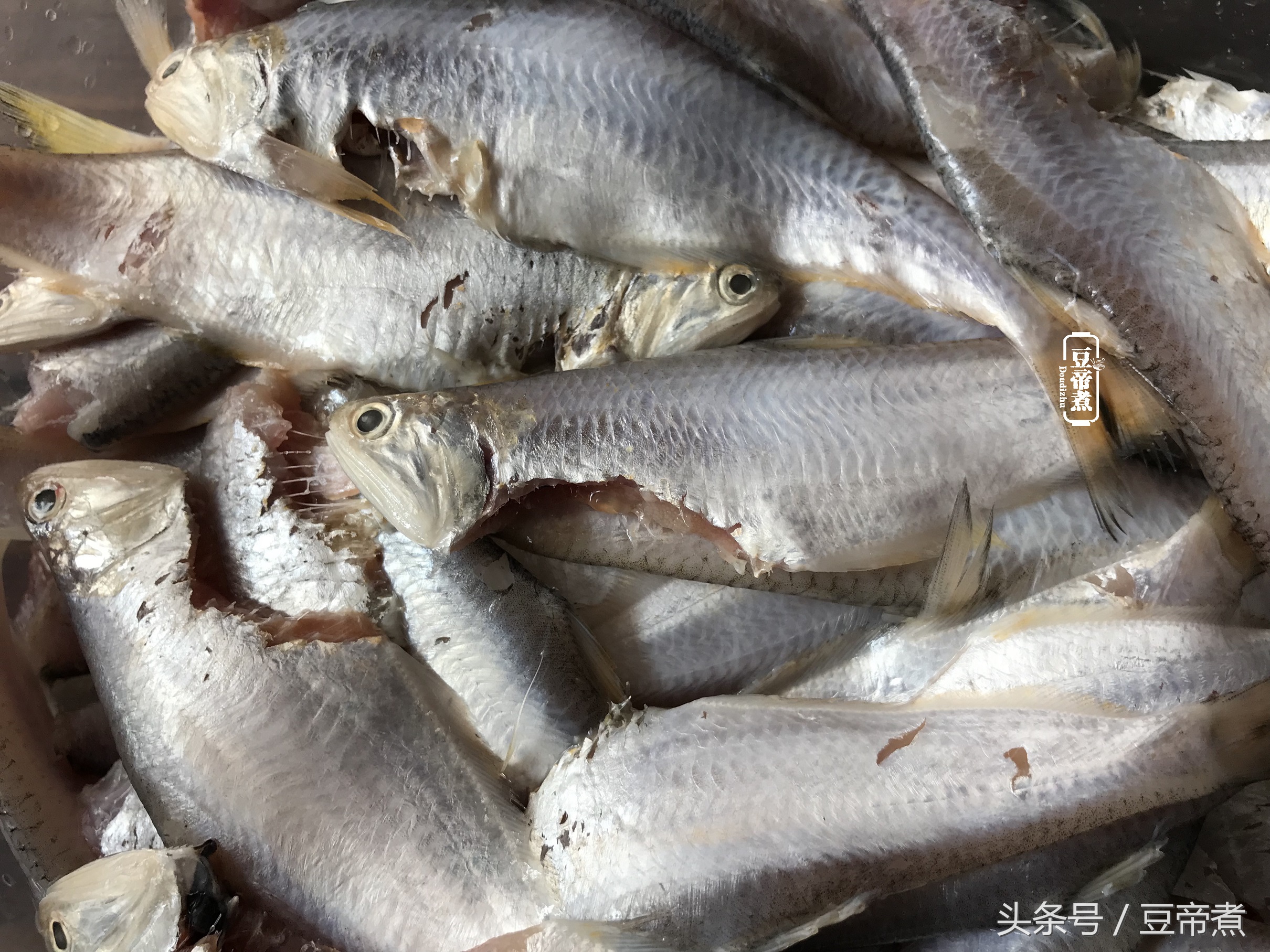 长江刀鱼怎么做,长江第一鲜刀鱼怎么做