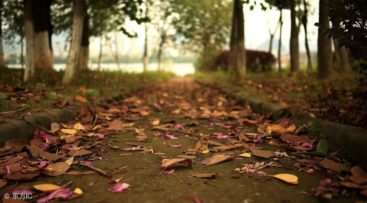 人生六大境界你在哪一层,人生六大价值的总结