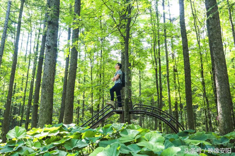 河南洛阳白云山景区,河南旅游白云山