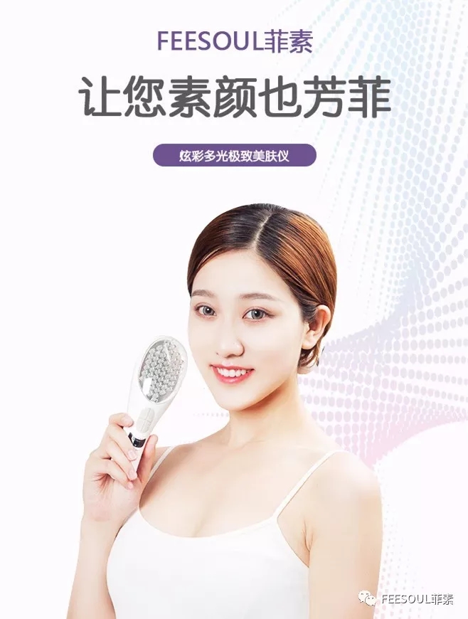 tiffany月季,tiffany宠物盆