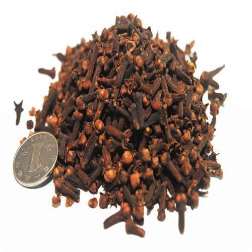 《中药学》简化笔记6——止血药、活血祛瘀药