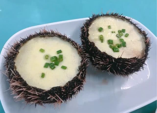 开着奥迪自驾的小姐姐,开着百万奥迪的小姐姐