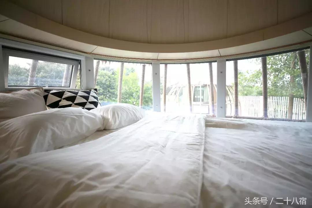 她在南京,南京谷里熏衣草庄园最佳观赏期