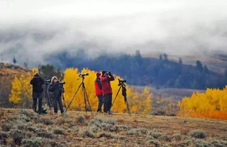 美国物价为什么这么低,美国物价为什么会这么便宜