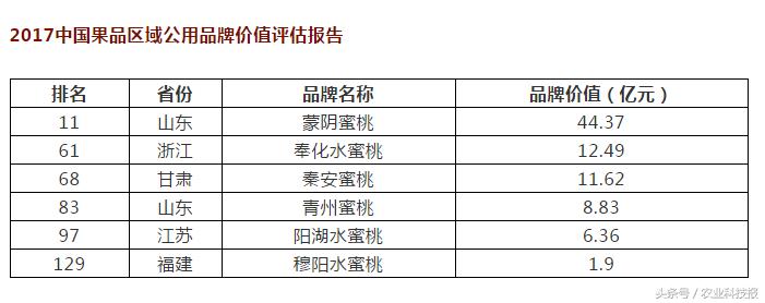 中国桃子十大名桃排名,中国最好的桃子品种