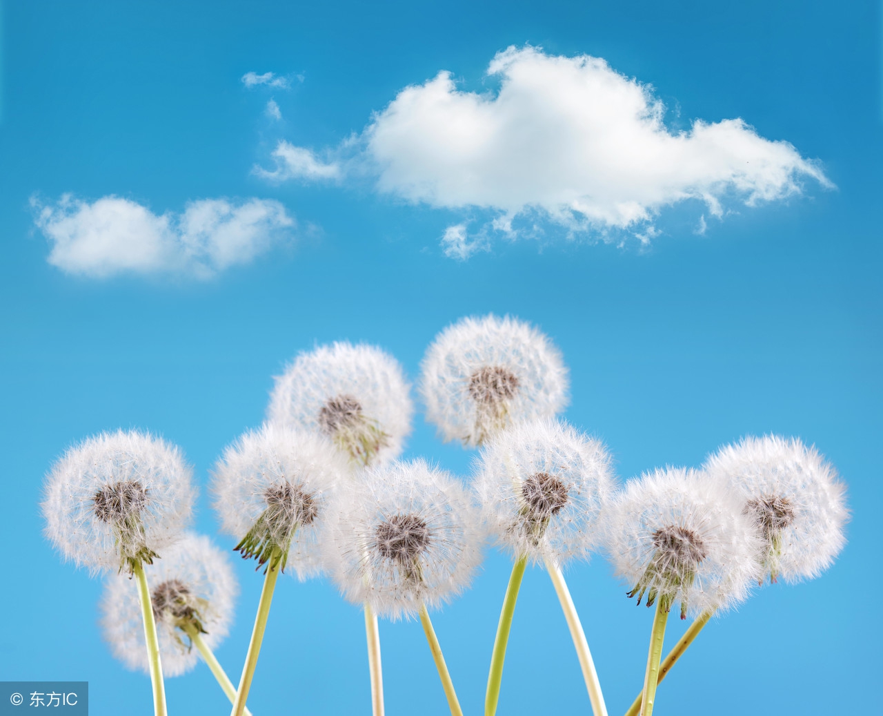 鐖辫繃鐤繃鐥涜繃鍝繃鐑﹁繃鎬掕繃鎭ㄨ繃,鐖辫繃鐤繃鐥涜繃鍝繃鐑﹁繃鎬掕繃