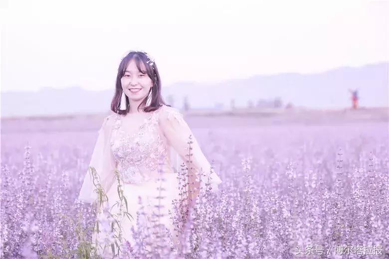 投票啦！快来支持你喜欢的紫苏仙子吧！