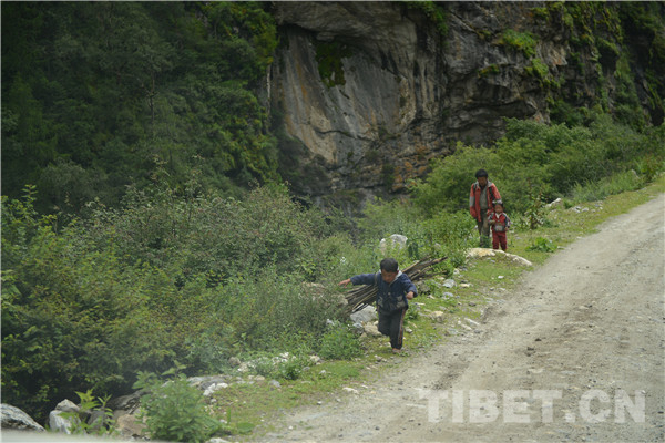 绒辖乡地图,绒辖乡自然概况