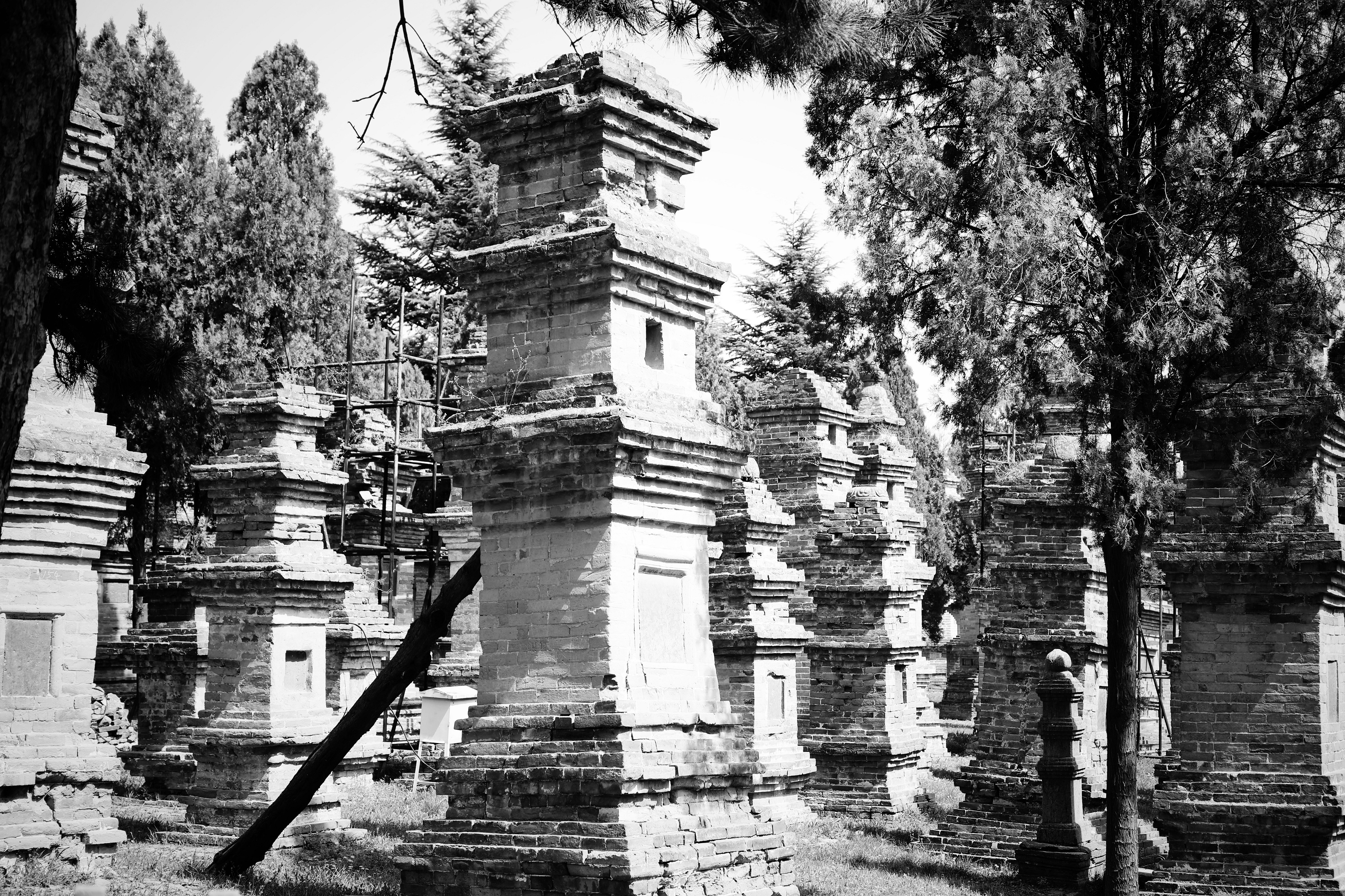 哪些地方有塔林,什么是塔林