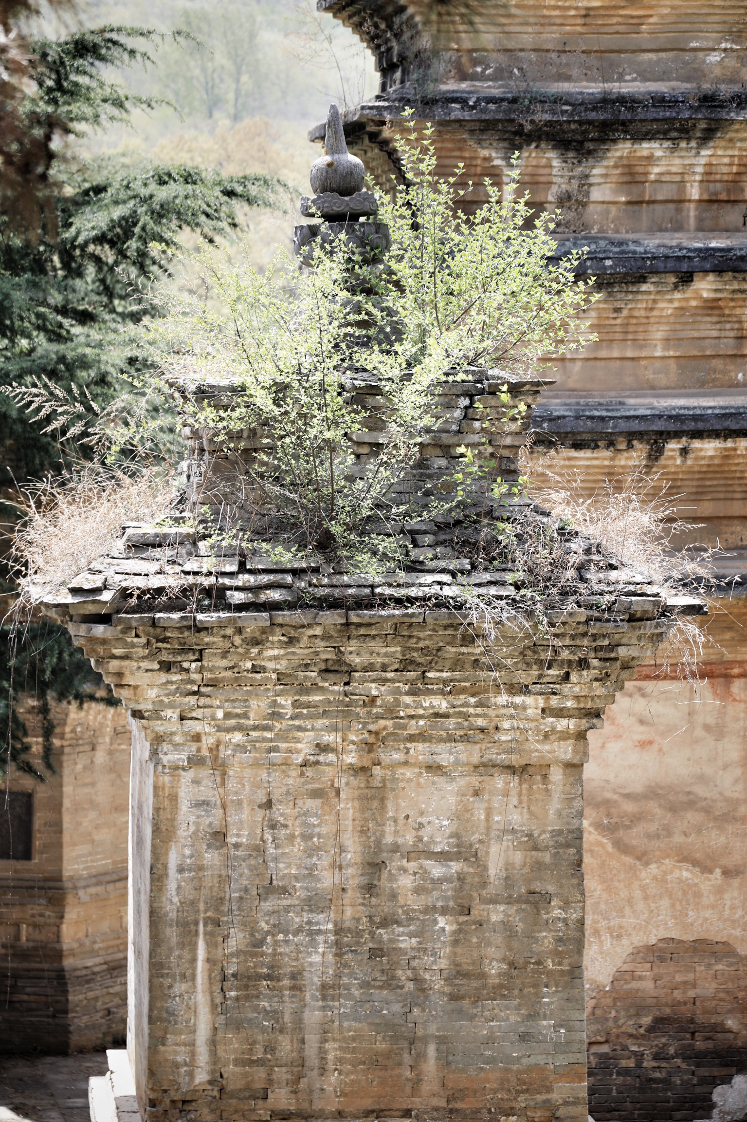 哪些地方有塔林,什么是塔林