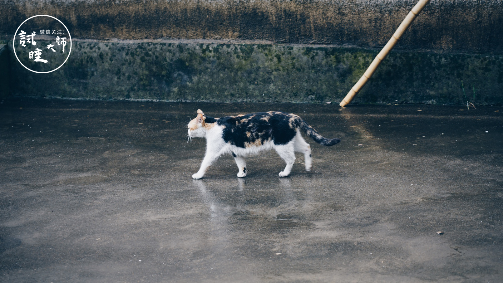 在梯田做成的无边泳池里游泳，私奔去这个隐秘山谷民宿做回野孩子