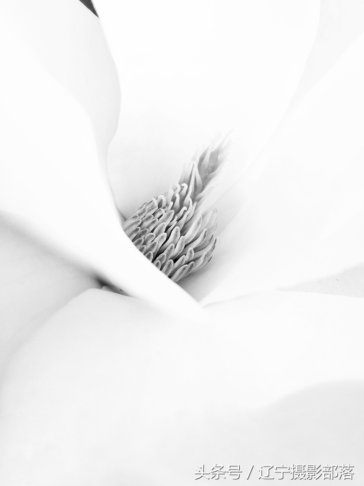 2020年ipa摄影奖获奖作品,ippa摄影大赛获奖作品2010