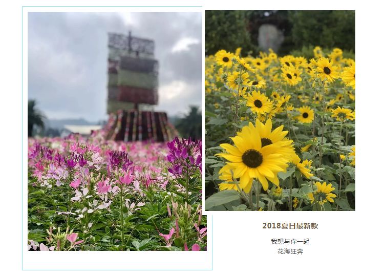 带你探寻最美赛道,名不虚传路演