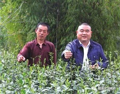 中国媒体看甘孜,四川文县旅游宣传片