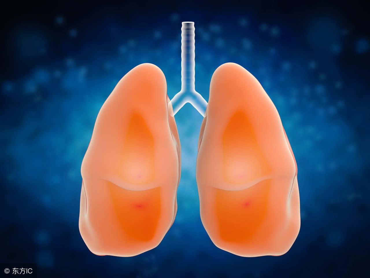 肺下叶支气管镜能做到吗,支气管镜吸痰对肺损伤大吗