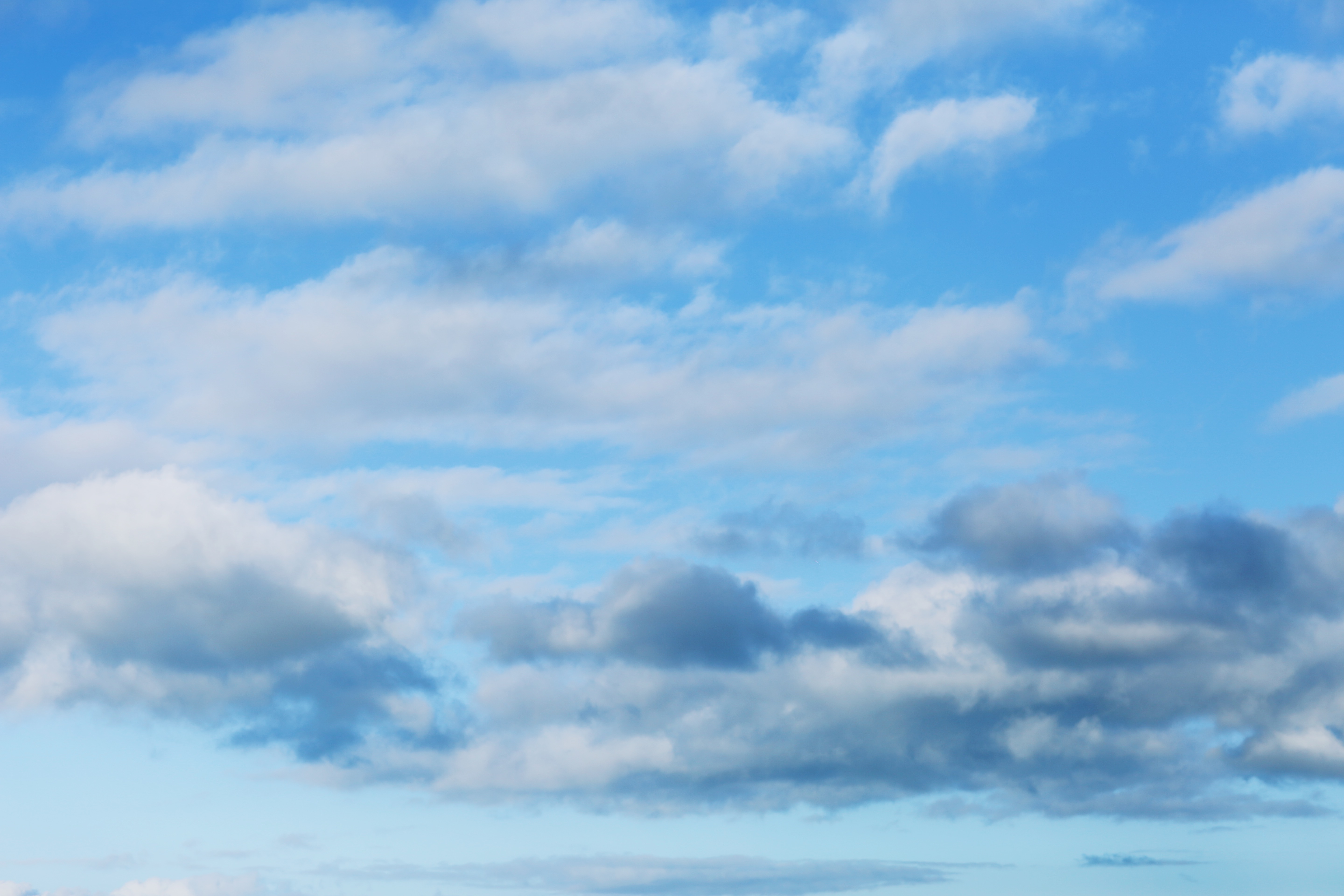 南半球的最佳饮品，飞机上酒喝得到，爱酒的人不要错过