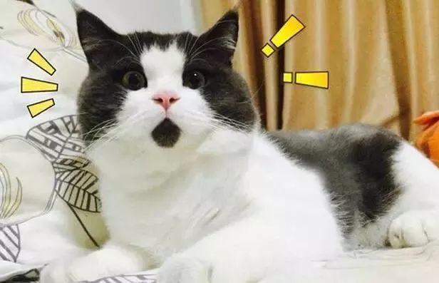 山寨微信语音是骗人的吗,山寨微信转发语音是骗人的吗