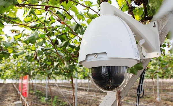 农业物联网所需的信息系统