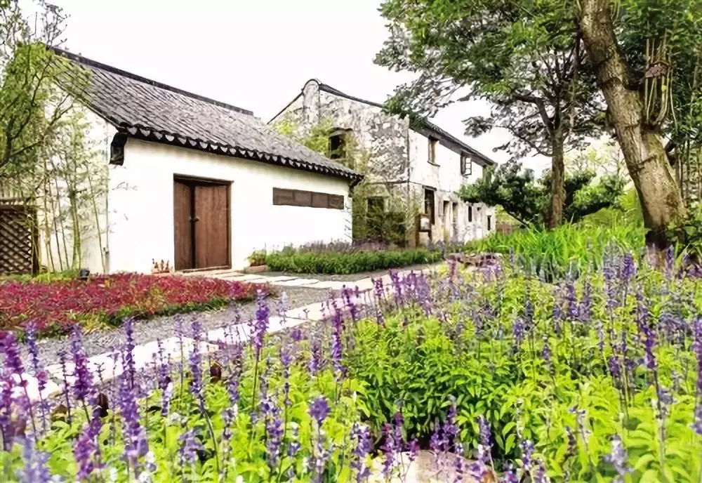 5年打造世外桃源,无锡惠山区阳山镇田园东方