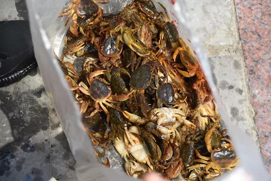 宜昌青龙峡第四届亲子漂流大赛实况回顾！你错过的精彩都在这里！