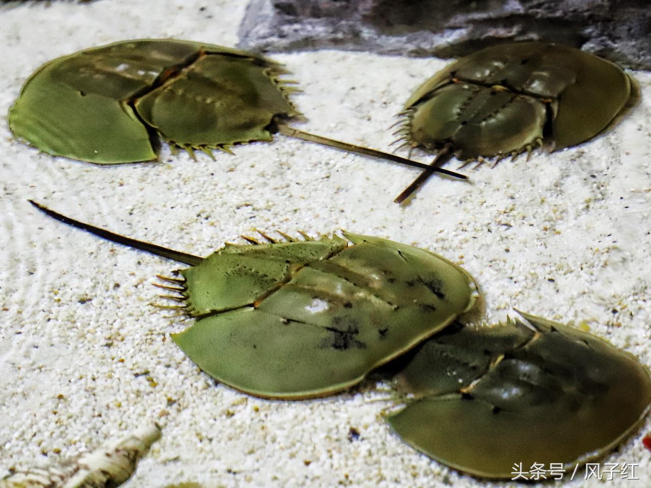 福州避暑网红景点前十名,福州夏天周边游景点推荐最新